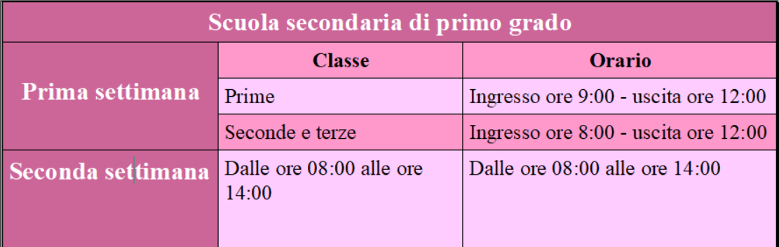 Secondaria primo grado.png