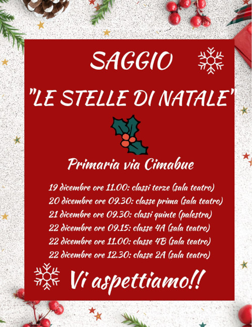 Stelle Natale.jpeg
