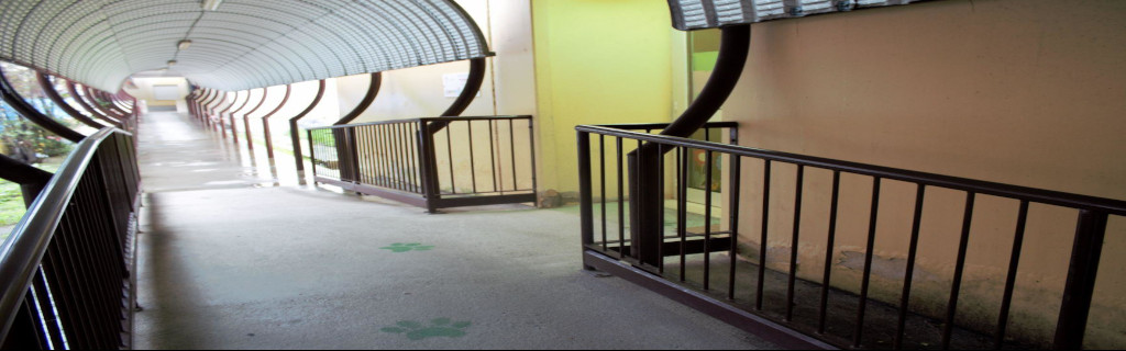 ingresso