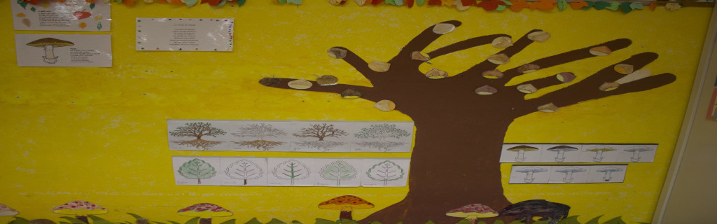 albero